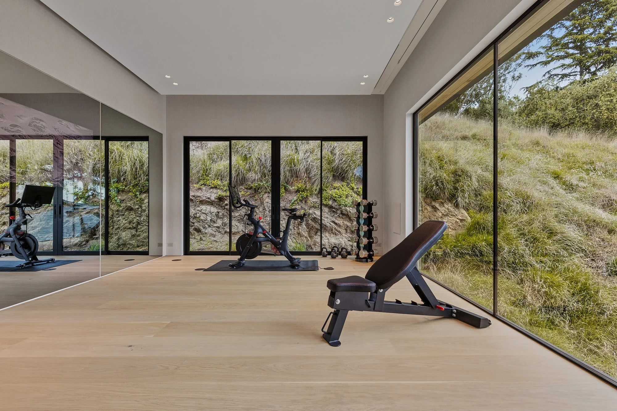 Home gym with light wood floors and floor-to-ceiling windows overlooking a grassy hillside.